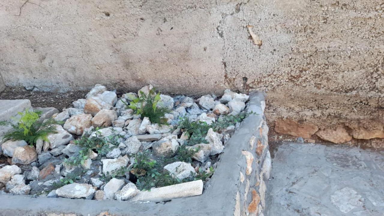 Sunny Apartments Mara Ντουμπρόβνικ Εξωτερικό φωτογραφία